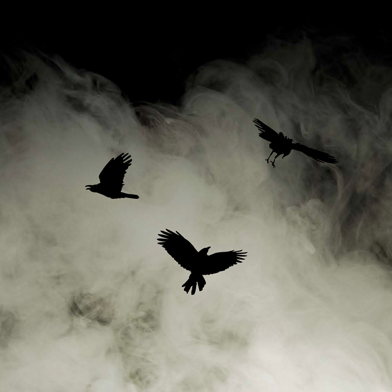 Omvisning for medlemmer: Magiske tider